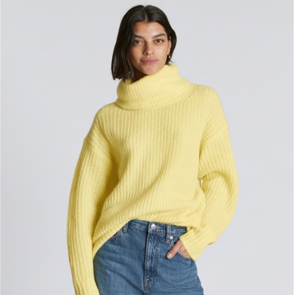 Everlane The Alpaca Oversized Turtleneck